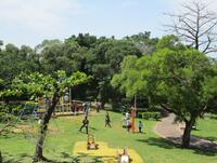 ４年生・桑江公園